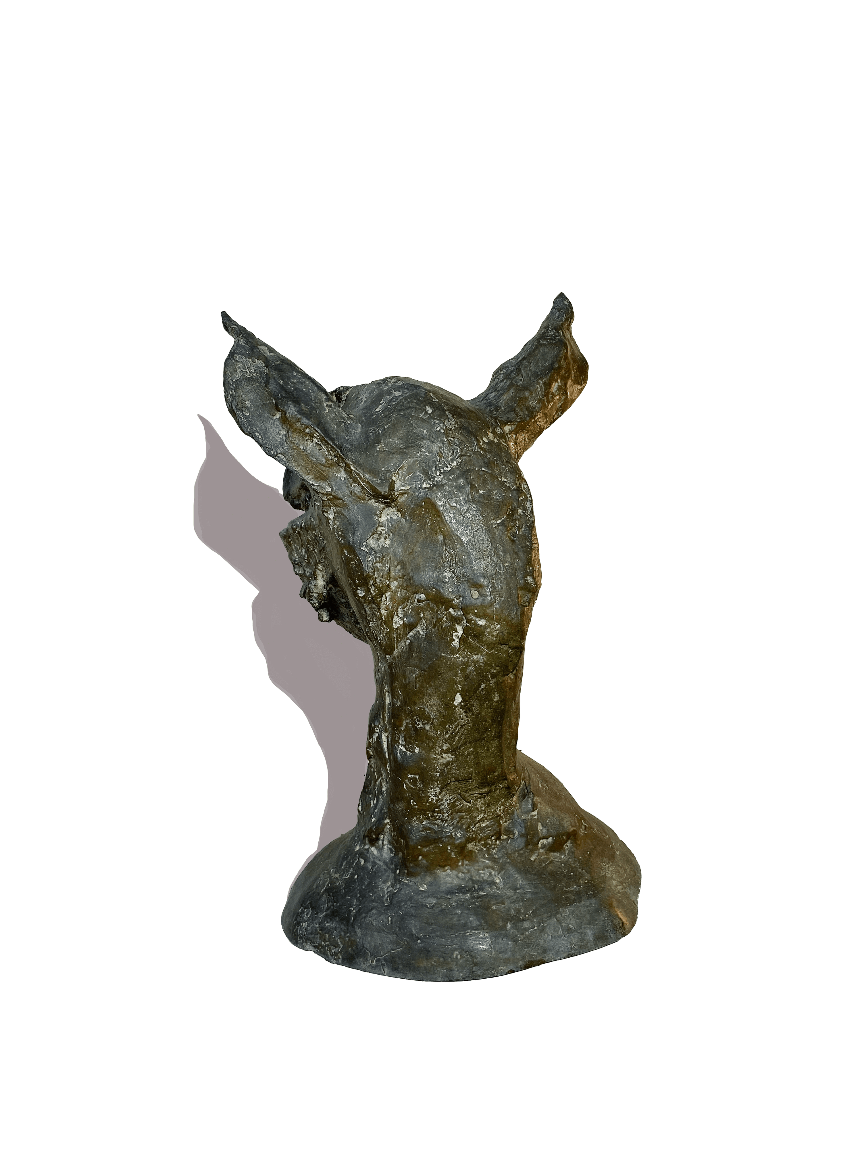 Bernard Reder Head of Centaur