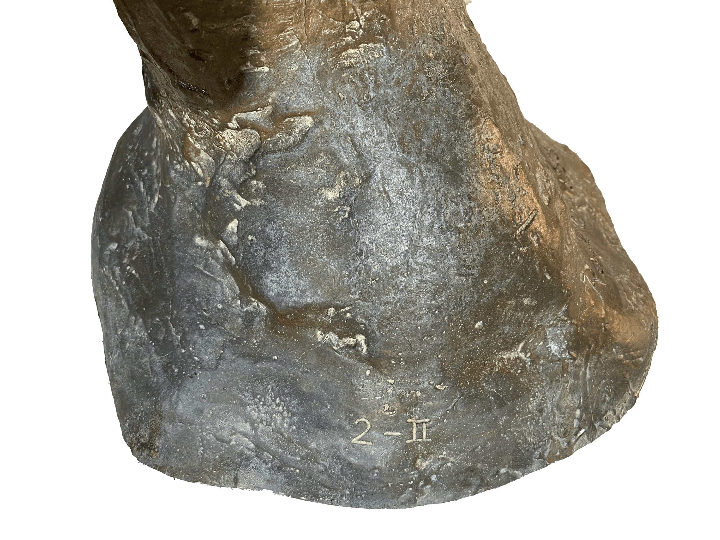 Bernard Reder Head of Centaur